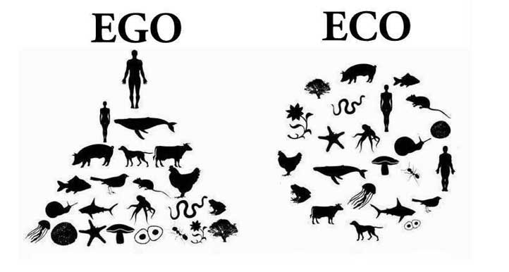 Ego vs. Eco Diagram